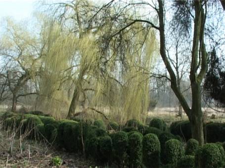 Museum Insel Hombroich : Im Frühjahr